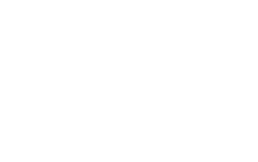 guylaroche