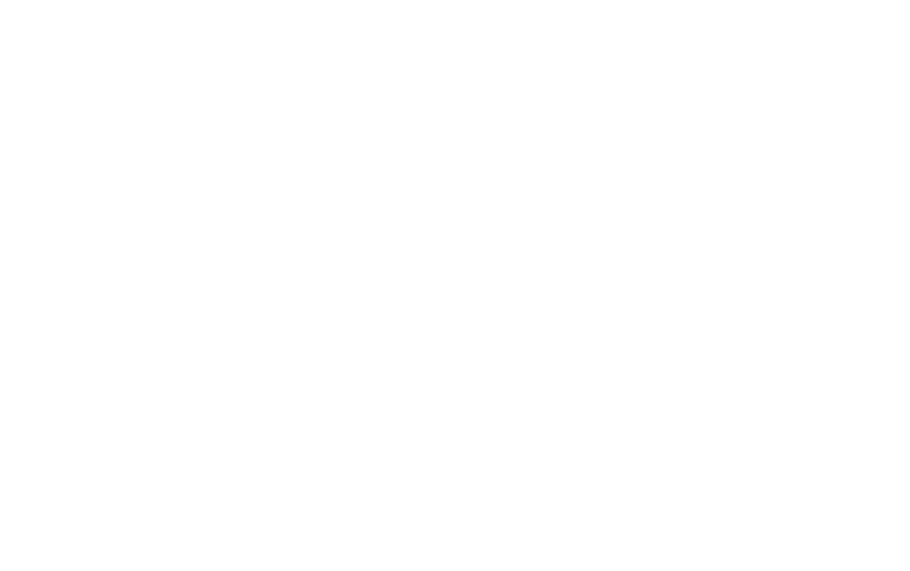 maxmara